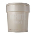 WHITE PAINT 5 LT COD.2040/5