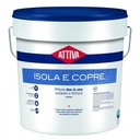 ATTIVA ISOLA E COPRE BIANCO/BASE 12 LT