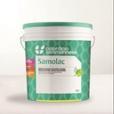 SAMOLAC OPACO BASE B 9 LT SMALTO ACRILICO ALL’ACQUADISINFETTABILE COME RICHIESTO DALLA NORMATIVA HACCP